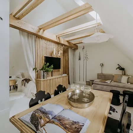 Zakatek Krupowki - W Centrum Apartmán *